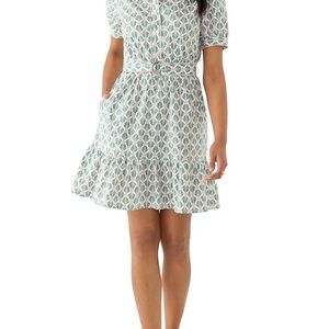 The Limited Mint & Pink Belted Short-Sleeve Mini Dress